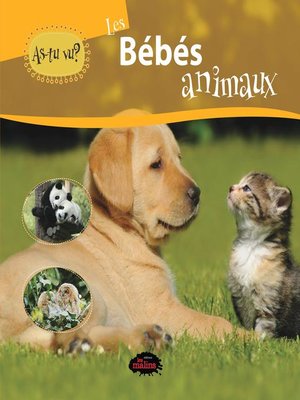 cover image of As-tu vu? les bébés animaux